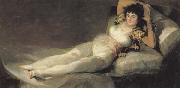 Francisco de goya y Lucientes The Maja Clothed oil painting picture wholesale